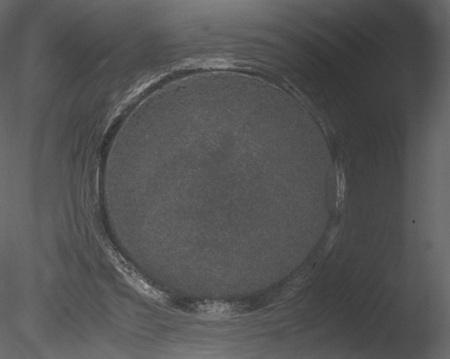 X0000085810301200703161203