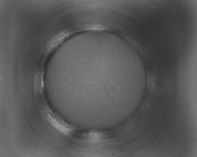 X0000085810302200703161203