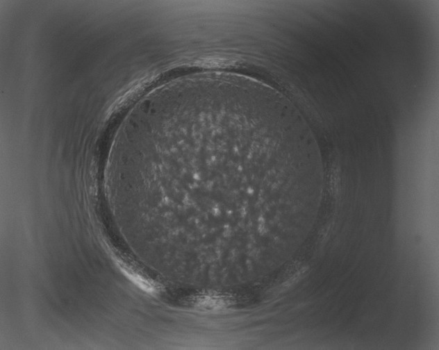 X0000085810303200703161203