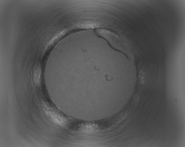 X0000085810304200703161203