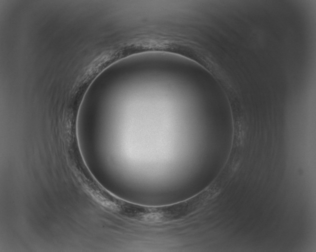 X0000085810309200703161203