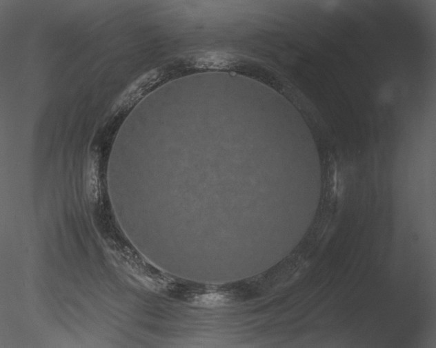 X0000085810312200703161203