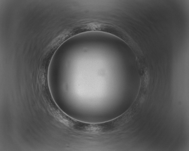 X0000085810313200703161203