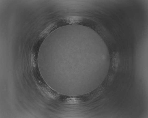 X0000085810316200703161202