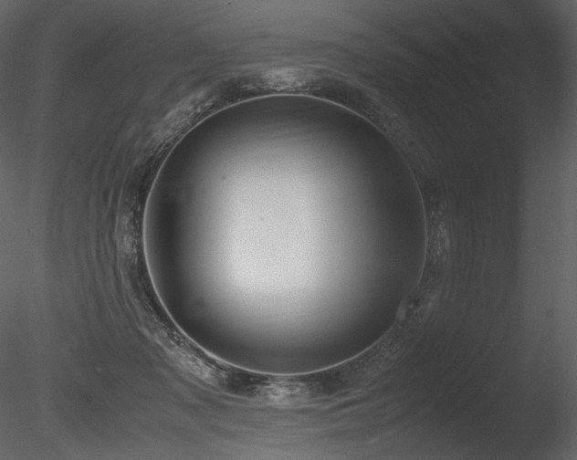 X0000085810317200703161202