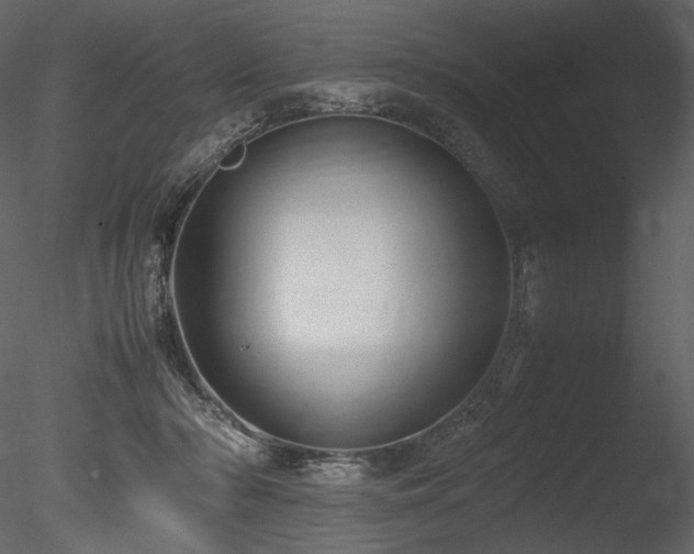 X0000085810318200703161202