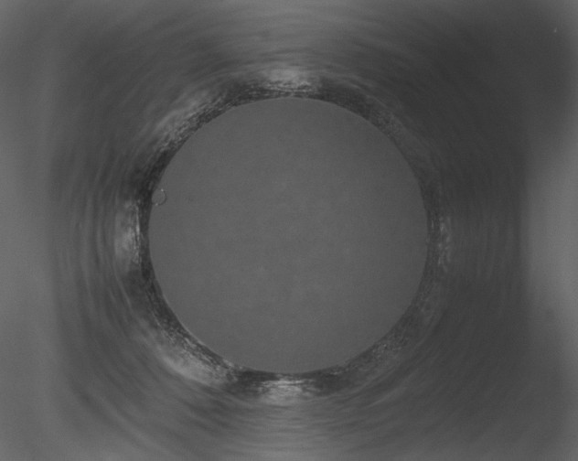 X0000085810320200703161202