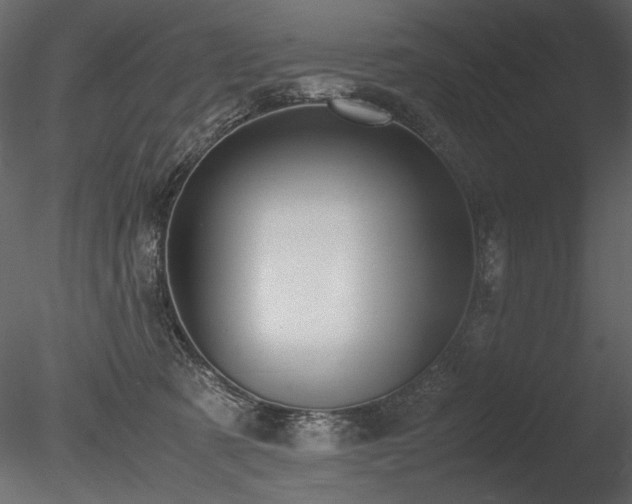 X0000085810321200703161202