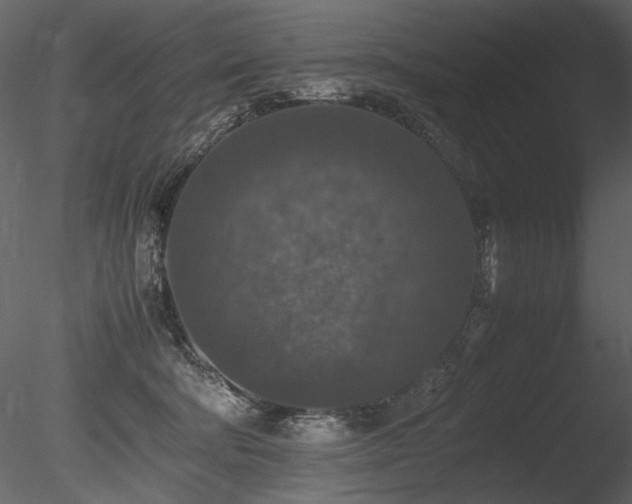 X0000085810322200703161202