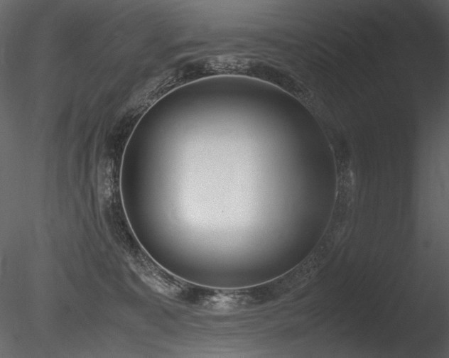 X0000085810323200703161202