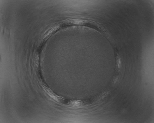 X0000085810325200703161202