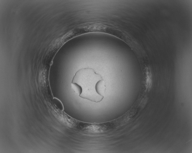 X0000085810326200703161202