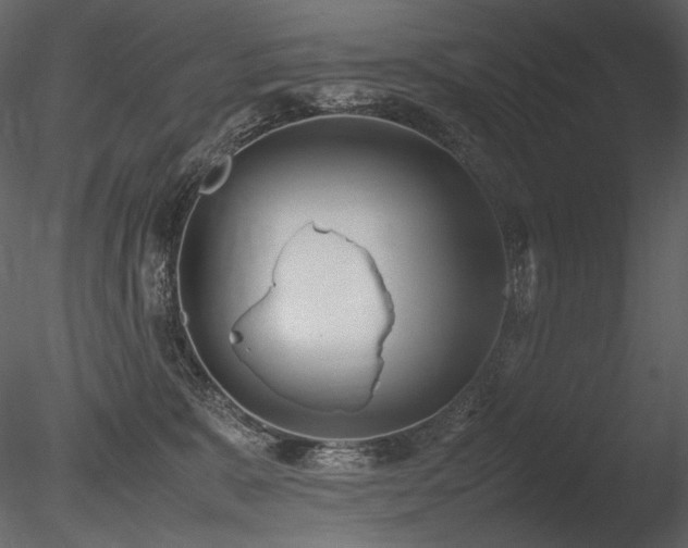 X0000085810327200703161202