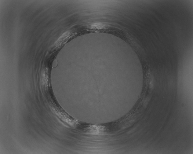 X0000085810328200703161202