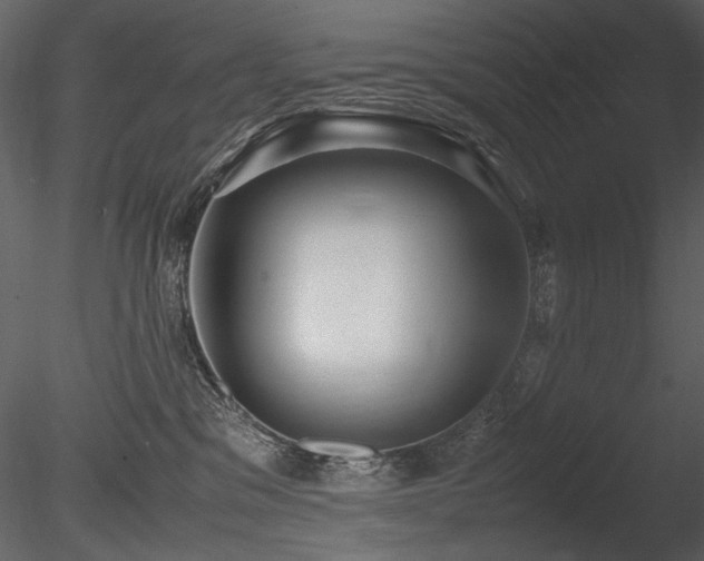 X0000085810329200703161202