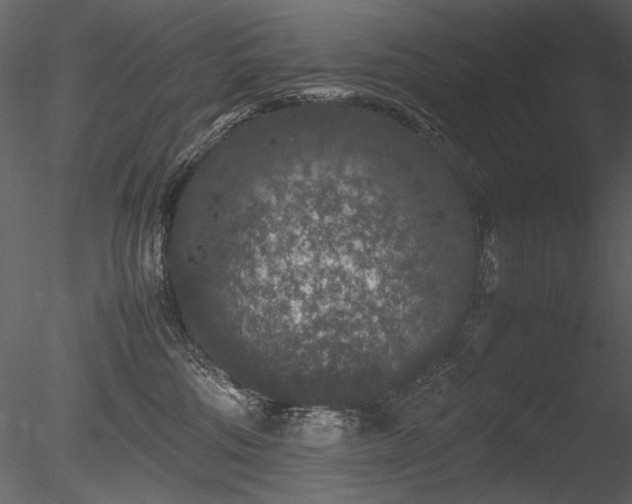 X0000085810330200703161202