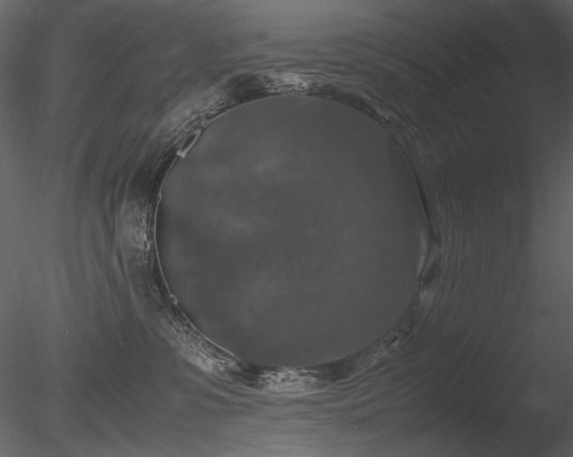 X0000085810331200703161202