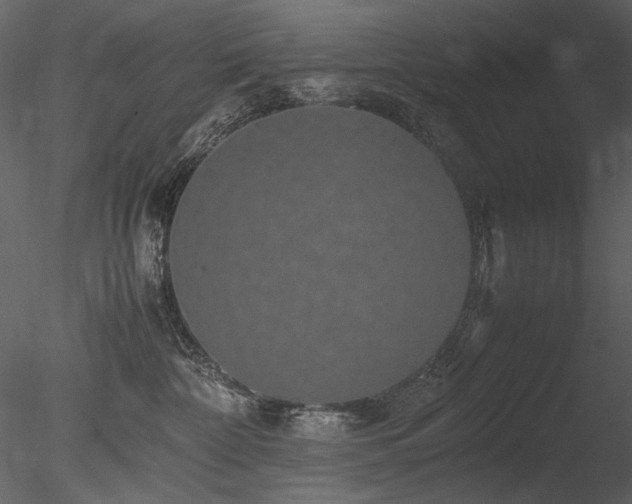 X0000085810332200703161202