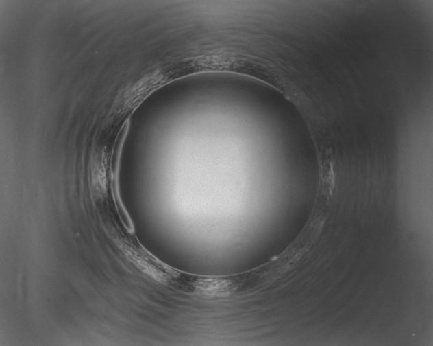 X0000085810334200703161202