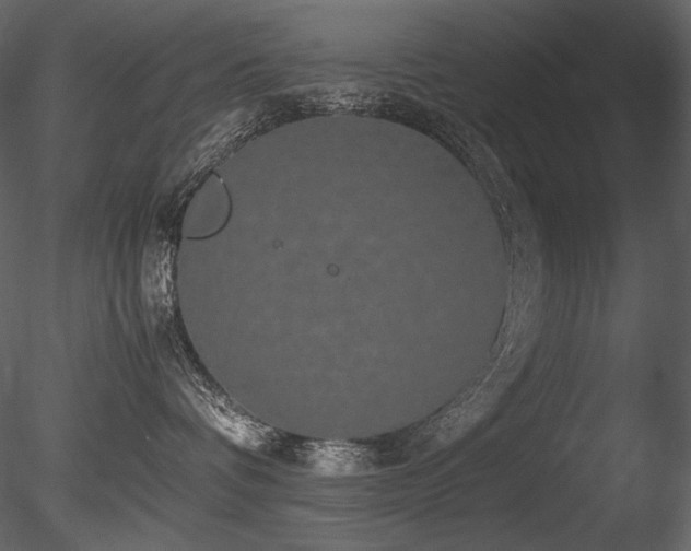 X0000085810336200703161202