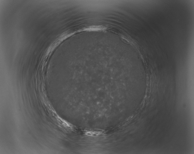 X0000085810337200703161201