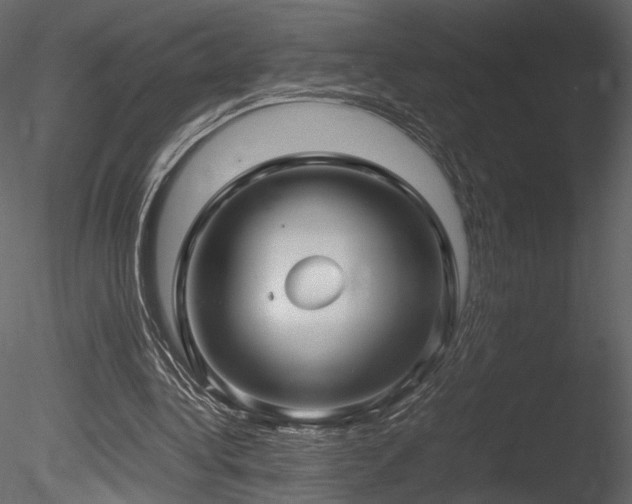 X0000085810340200703161201