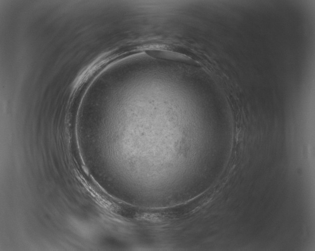 X0000085810341200703161201