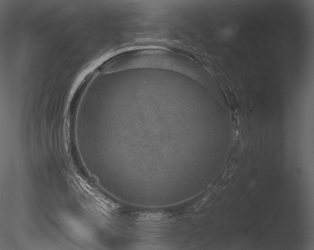 X0000085810342200703161201