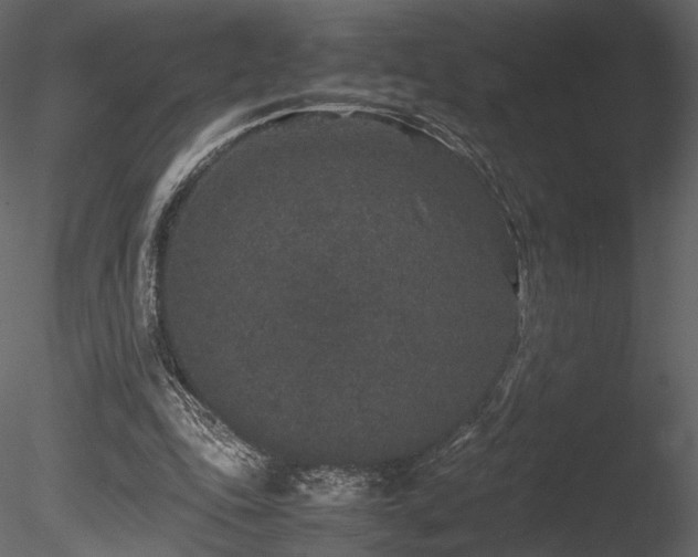 X0000085810343200703161201