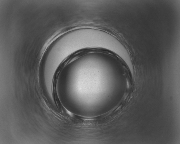 X0000085810344200703161201