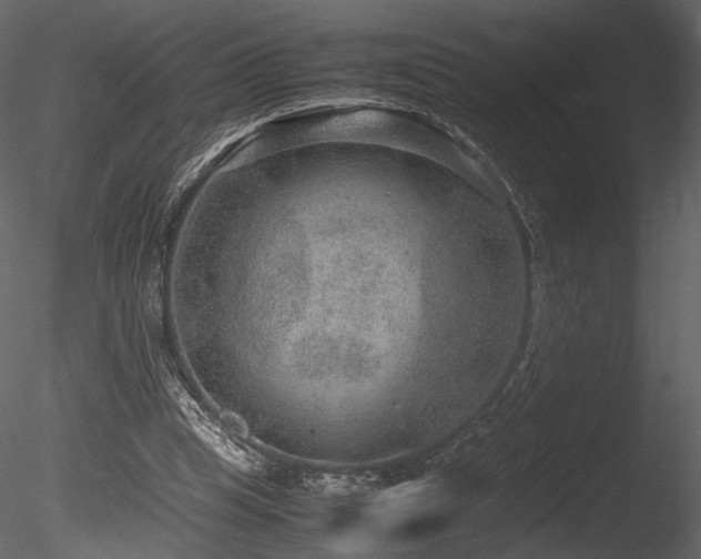 X0000085810345200703161201