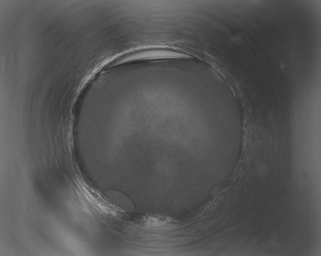 X0000085810346200703161201