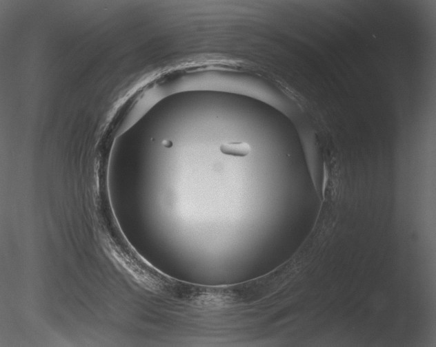 X0000085810350200703161201