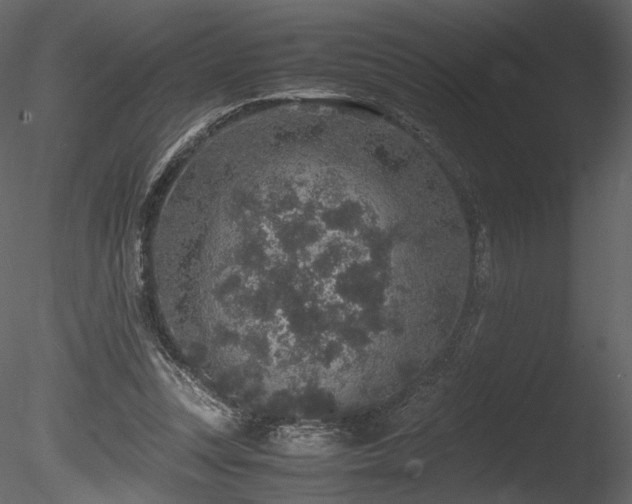 X0000085810351200703161201