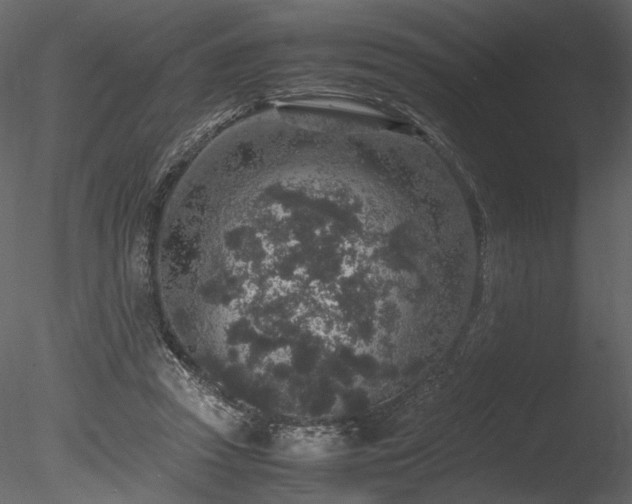 X0000085810353200703161201