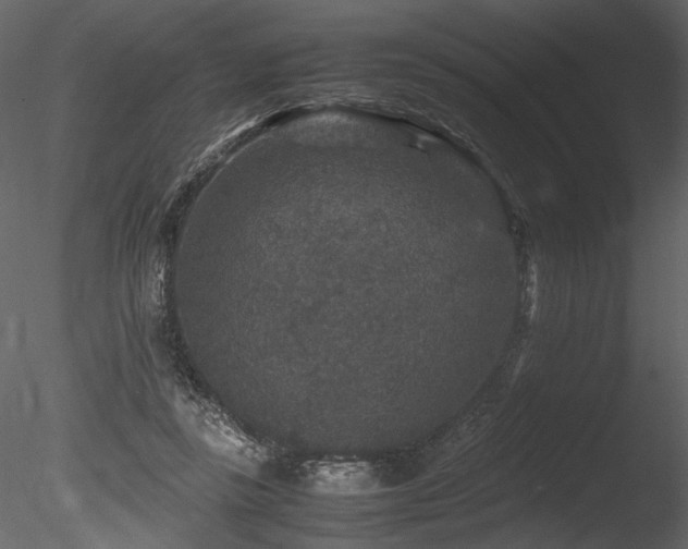 X0000085810355200703161202