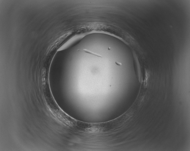 X0000085810356200703161202