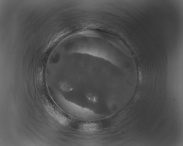 X0000085810357200703161202