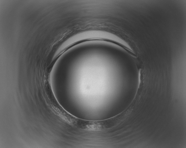 X0000085810362200703161202