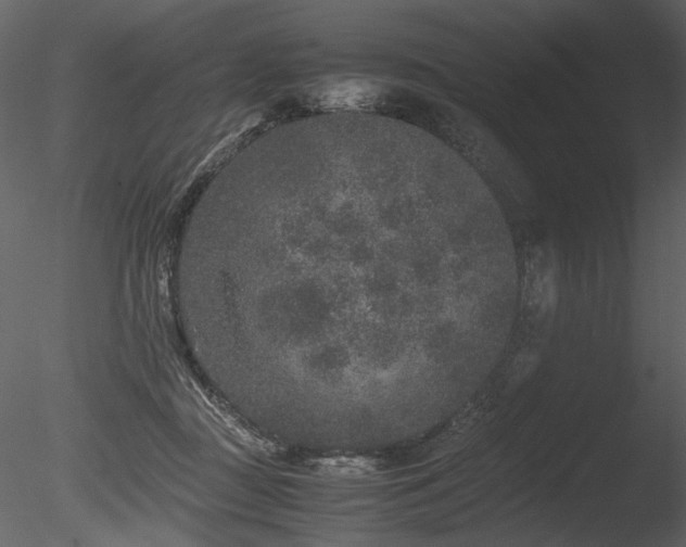 X0000085810363200703161202