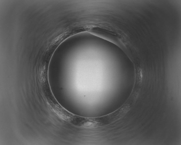 X0000085810364200703161202