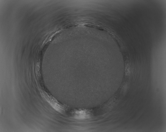 X0000085810365200703161202