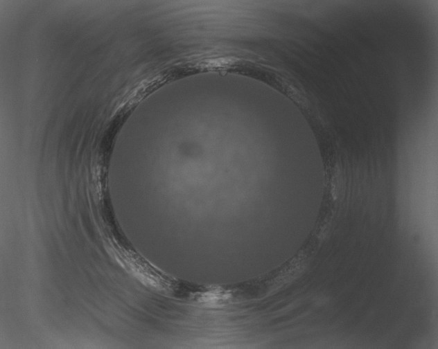 X0000085810366200703161202