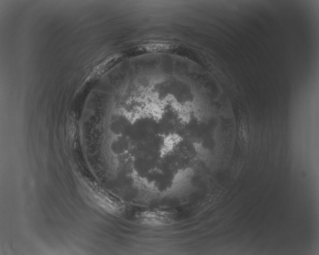 X0000085810367200703161202