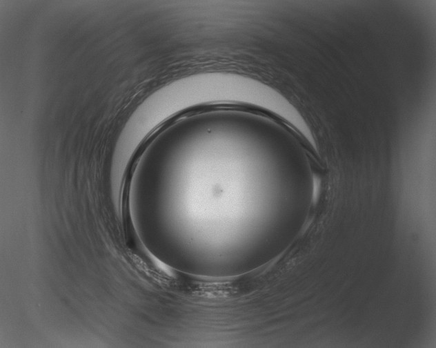 X0000085810368200703161202