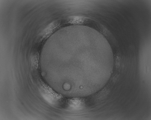 X0000085810370200703161202