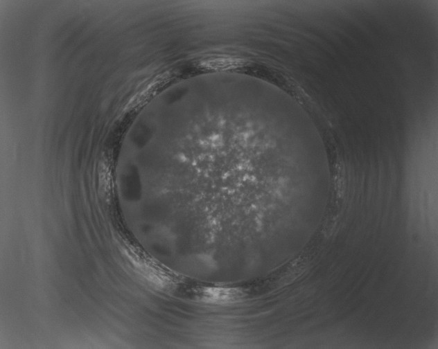 X0000085810371200703161202