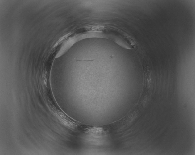 X0000085810374200703161202