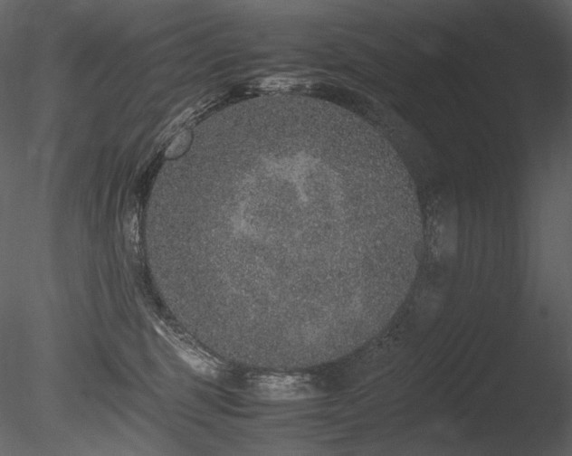 X0000085810375200703161202