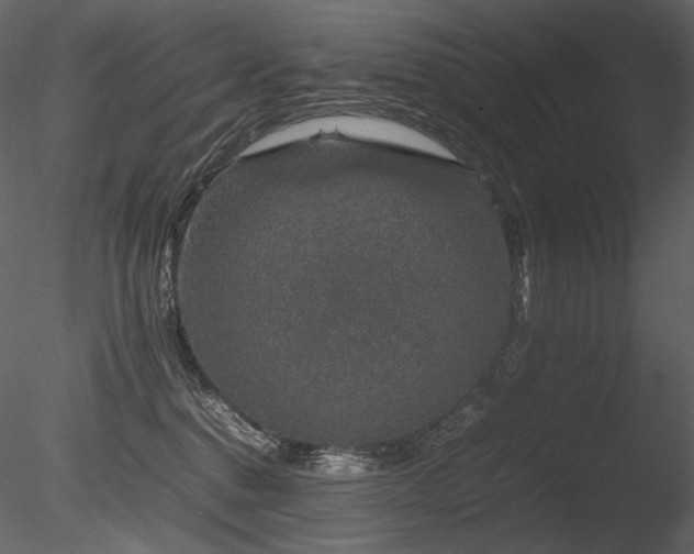 X0000085810376200703161202